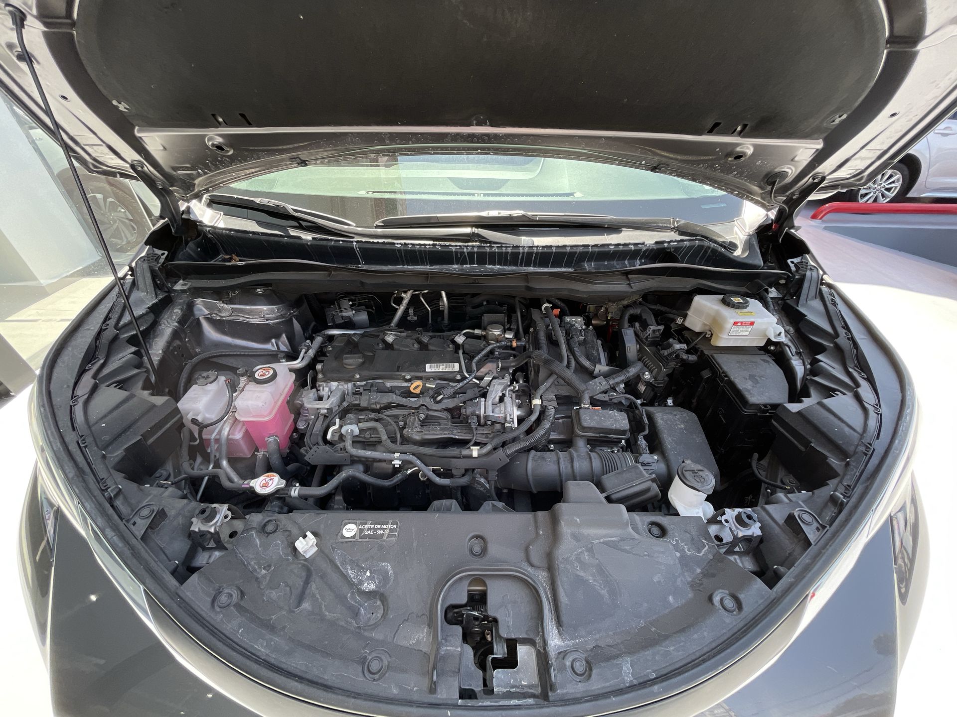 2021 Toyota SIENNA XLE PIEL