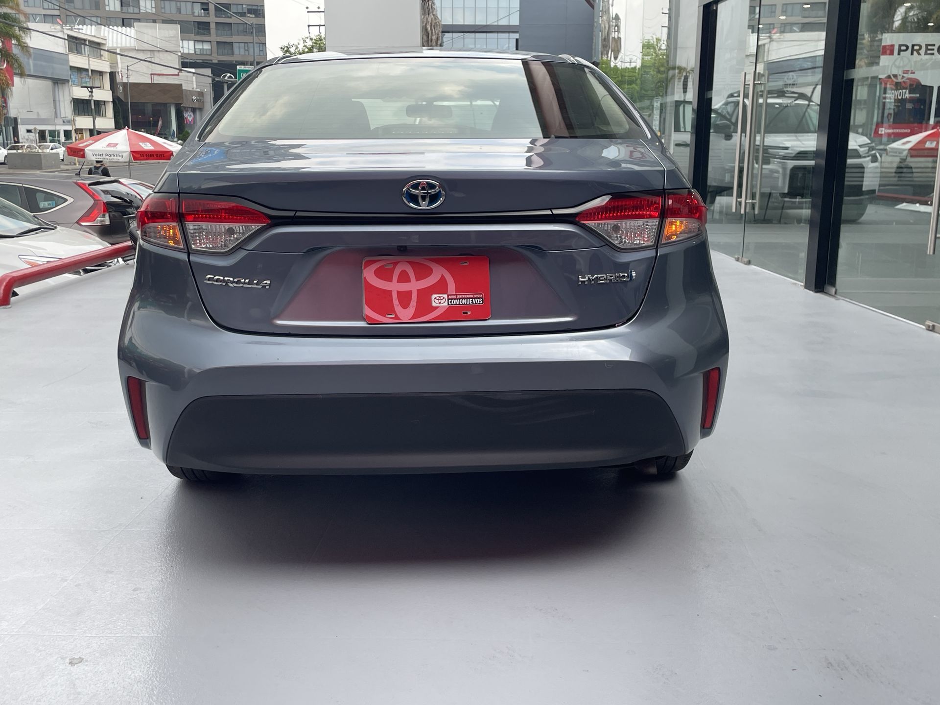 2024 Toyota COROLLA LE HEV