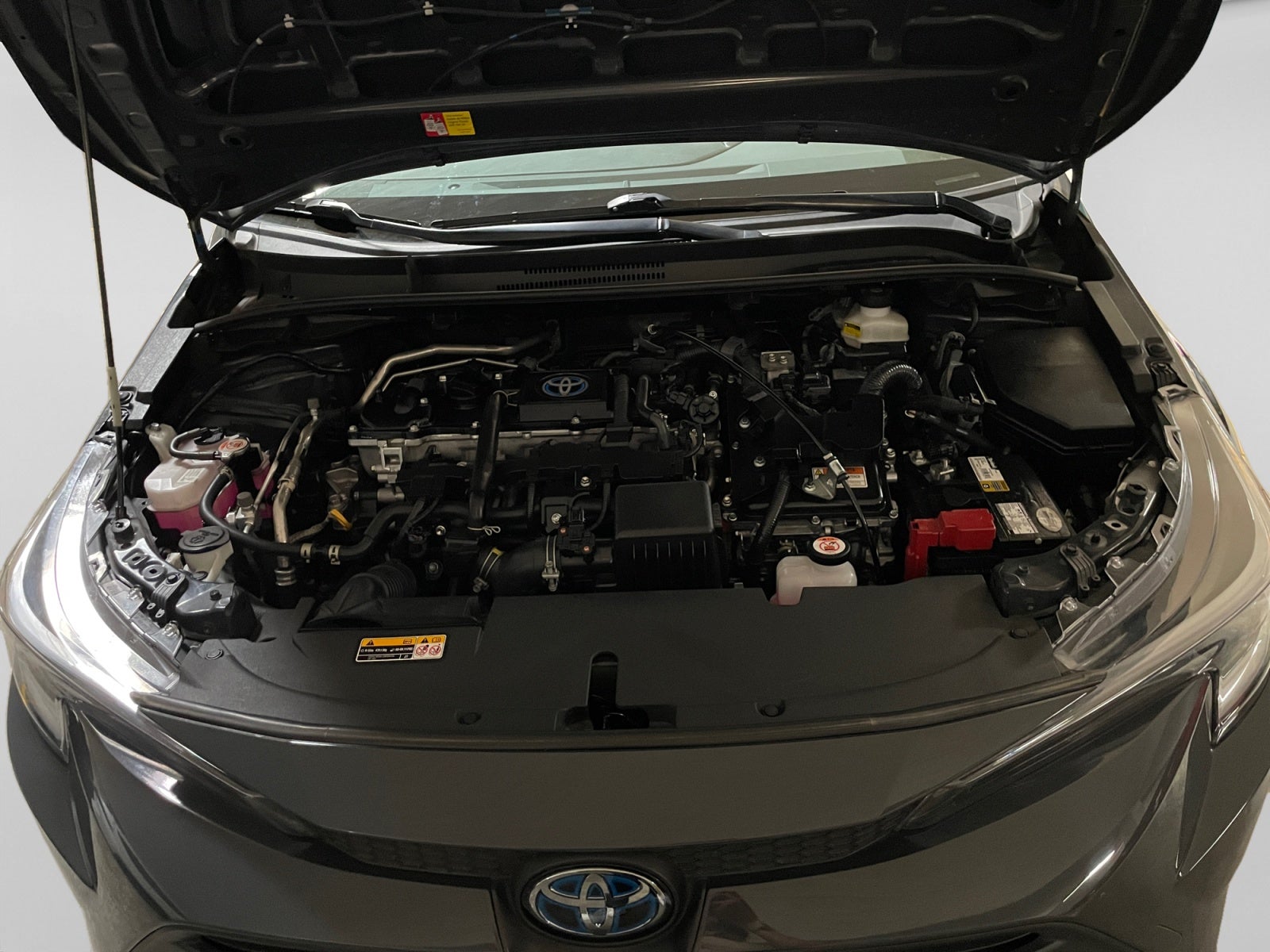 2023 Toyota COROLLA XLE HEV