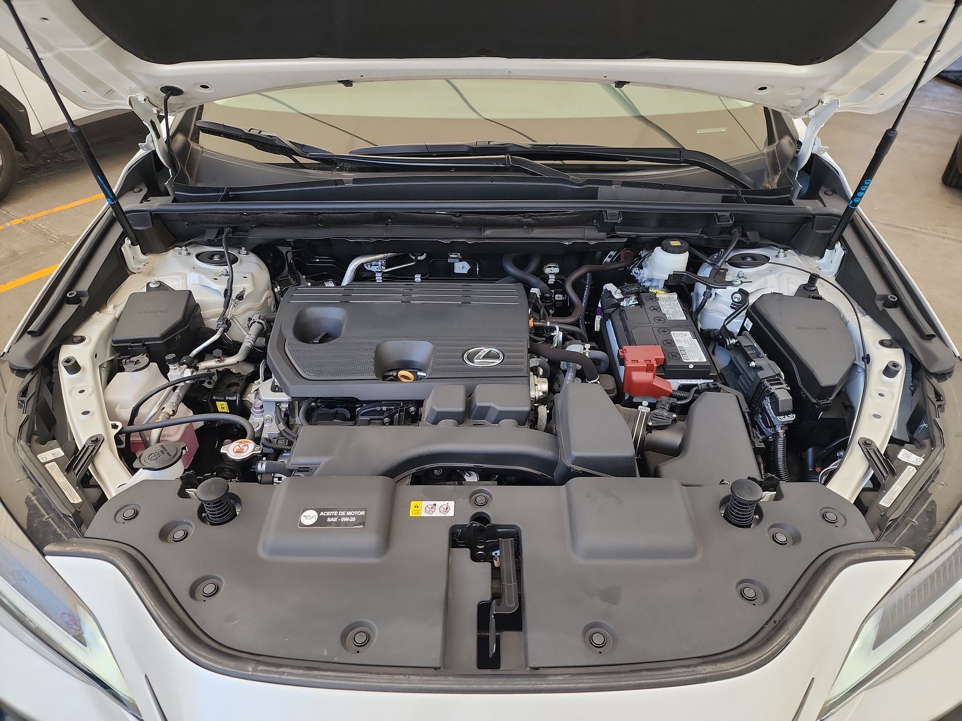 2025 Lexus LEXUS NX 250 AWD BASE