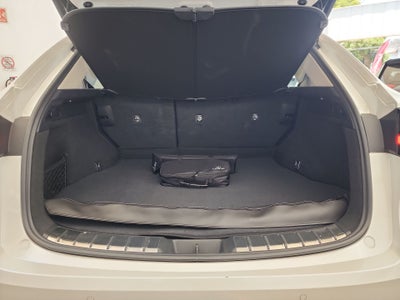 2025 Lexus LEXUS NX 250 AWD BASE