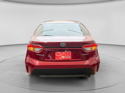 2023 Toyota COROLLA LE HEV