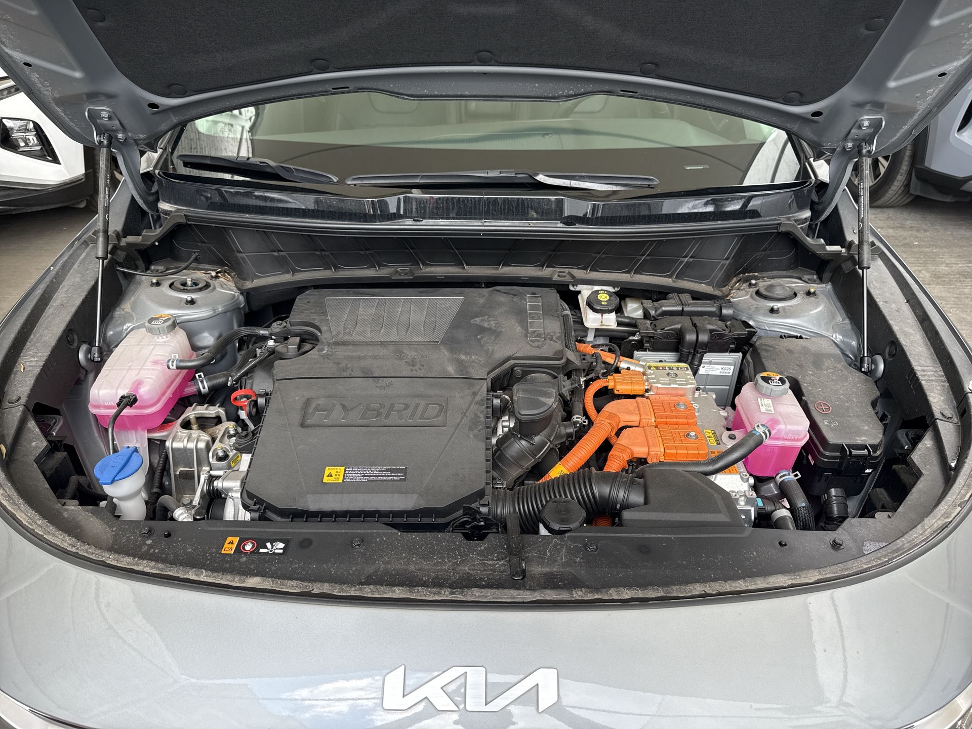 2025 Kia NIRO EX
